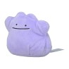 Pokemon Fit Ditto