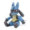 Pokemon Fit Lucario