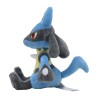 Pokemon Fit Lucario