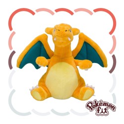 Pokemon Fit Charizard