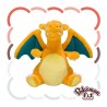 Pokemon Fit Charizard