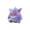 Pokemon Fit Gengar