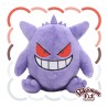 Pokemon Fit Gengar