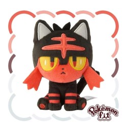 Pokemon Fit Litten