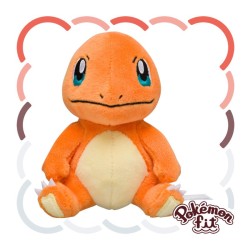 Pokemon Fit Charmander