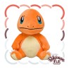 Pokemon Fit Charmander