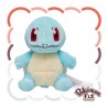 Pokemon Fit Squirtle