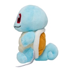 Pokemon Fit Squirtle