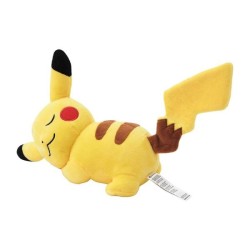 Sleeping Pikachu