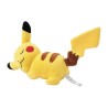 Sleeping Pikachu