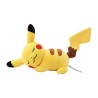 Sleeping Pikachu